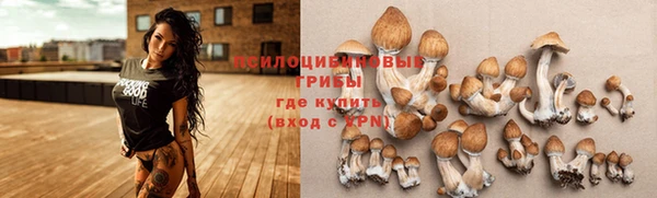 прущий лед Переславль-Залесский