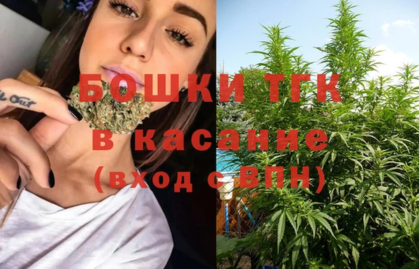 соль ск Осинники