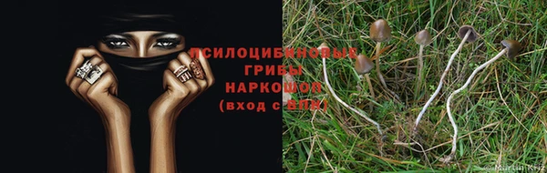 соль ск Осташков