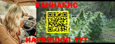 индика Дубна