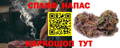 индика Дубна