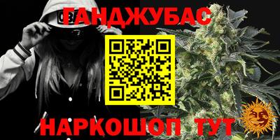 индика Дубна