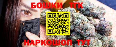 индика Дубна
