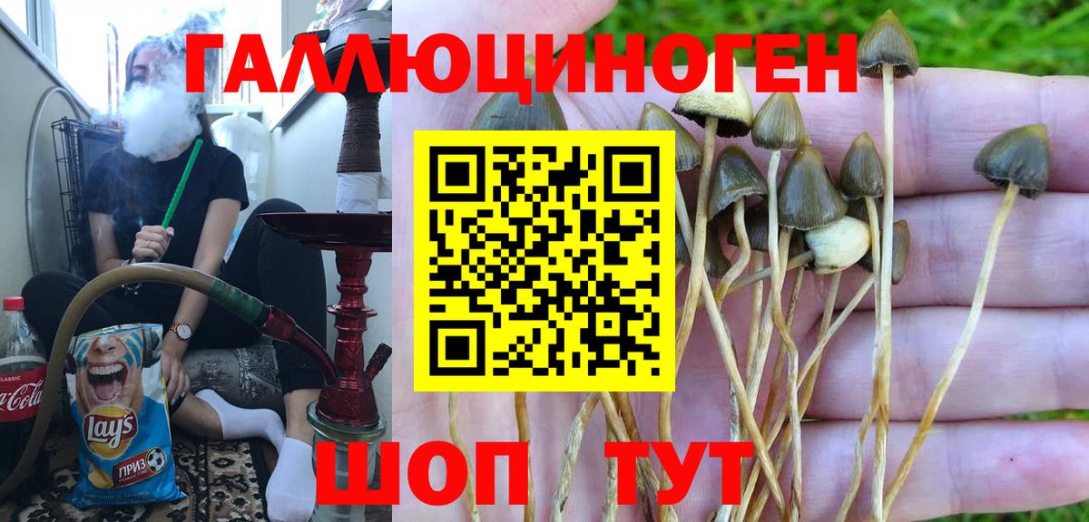 Псилоцибиновые грибы прущие грибы Краснокамск