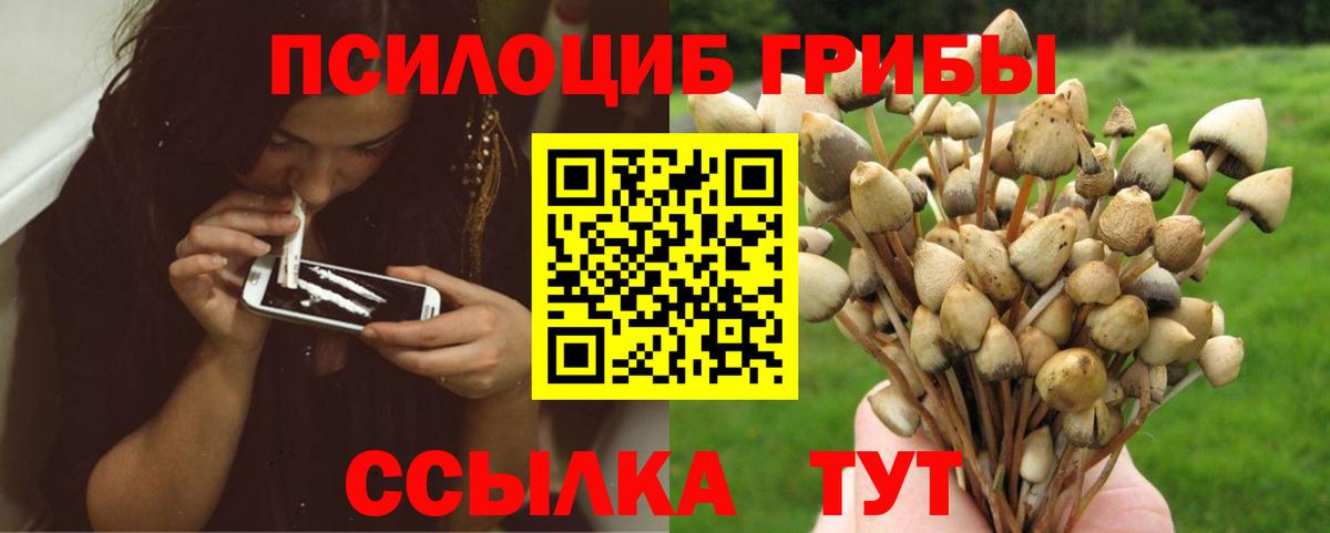 Псилоцибиновые грибы Psilocybine cubensis  как найти наркотики  Псилоцибиновые грибы мухоморы  Краснокамск 
