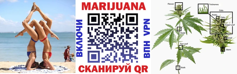 сколько стоит Краснокамск гидра ТОР Шишки марихуана Amnesia
